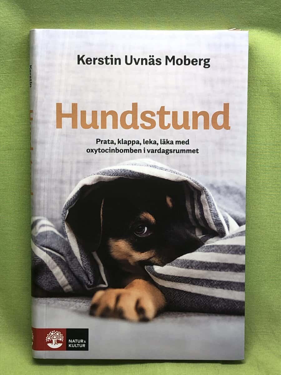 Kerstin Uvnäs Moberg : Hundstund prata, klappa, leka, läka med oxytocinbomben i vardagsrummet