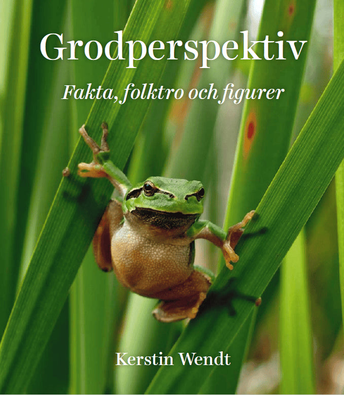 Kerstin Wendt : Grodperspektiv : fakta, folktro och figurer