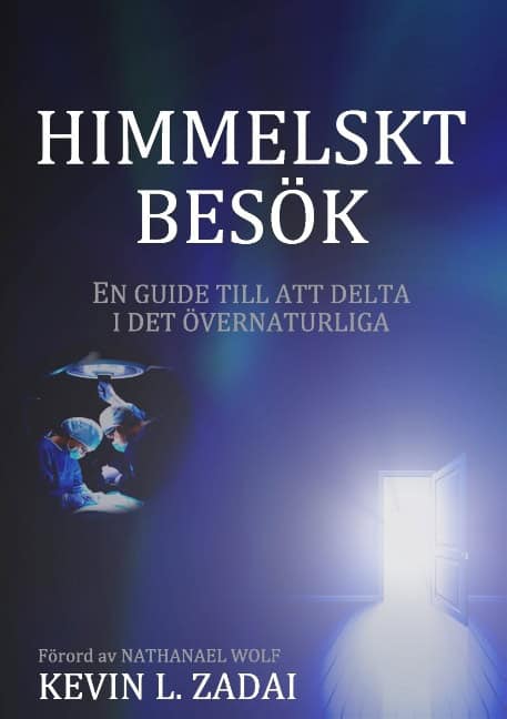 Kevin L. Zadai : Himmelskt besök