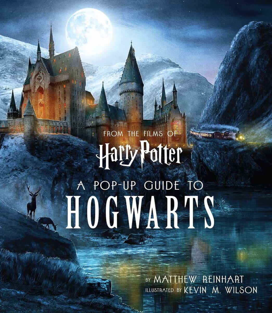 Kevin Wilson : Harry Potter