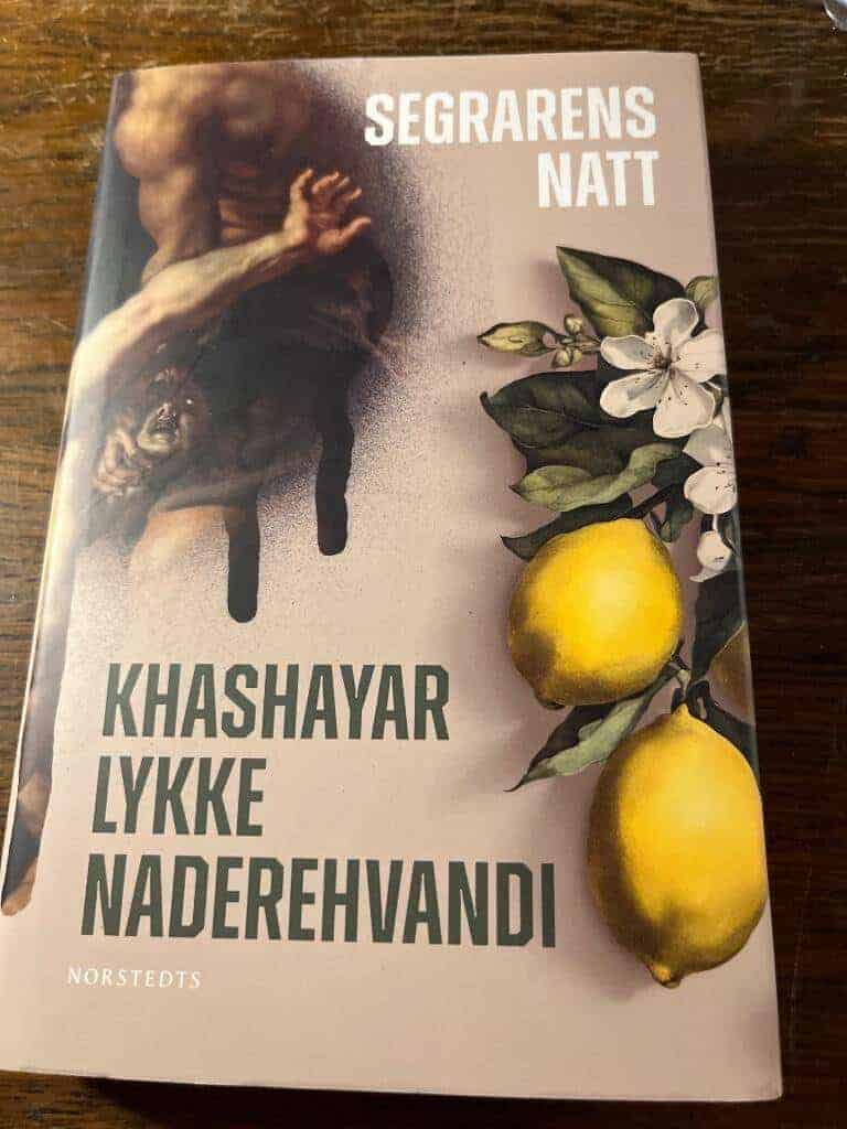 Khashayar Lykke Naderehvandi : Segrarens natt