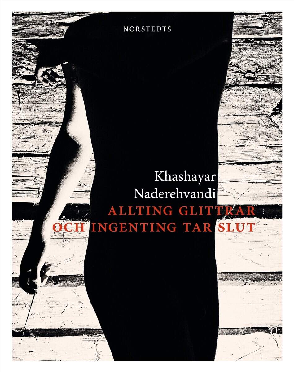Khashayar Naderehvandi : Allting glittrar och ingenting tar slut