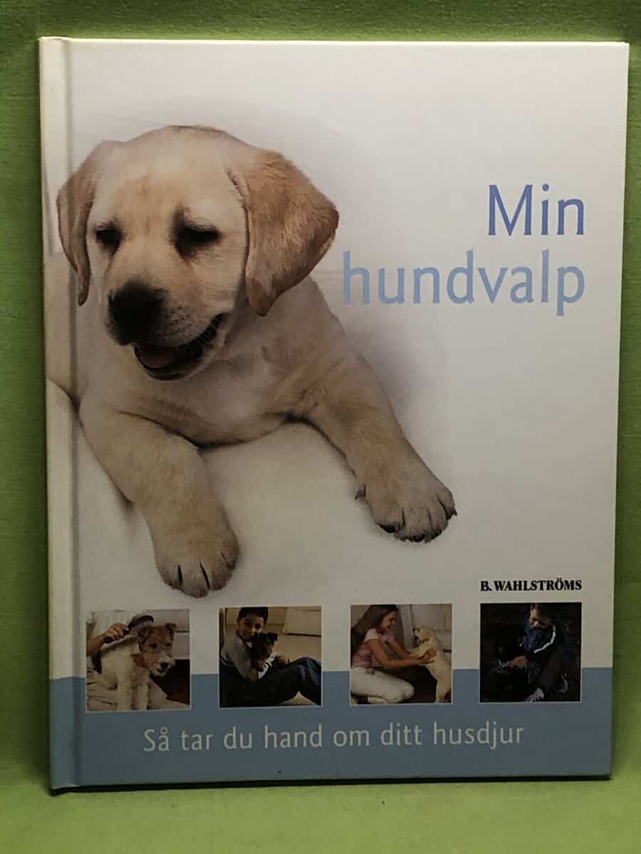 Kim Dennis-Bryan : Min hundvalp