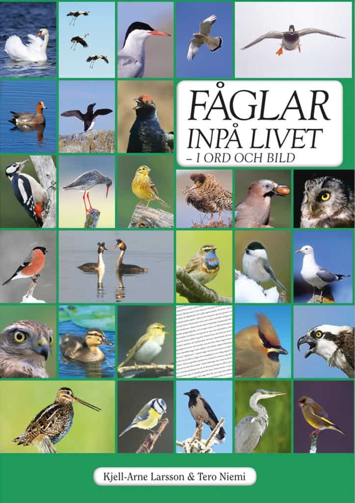 Kjell-Arne Larsson : Fåglar inpå livet : i ord och bild