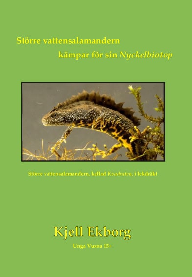Kjell Ekborg : Större vattensalamandern kämpar för sin Nyckelbiotop