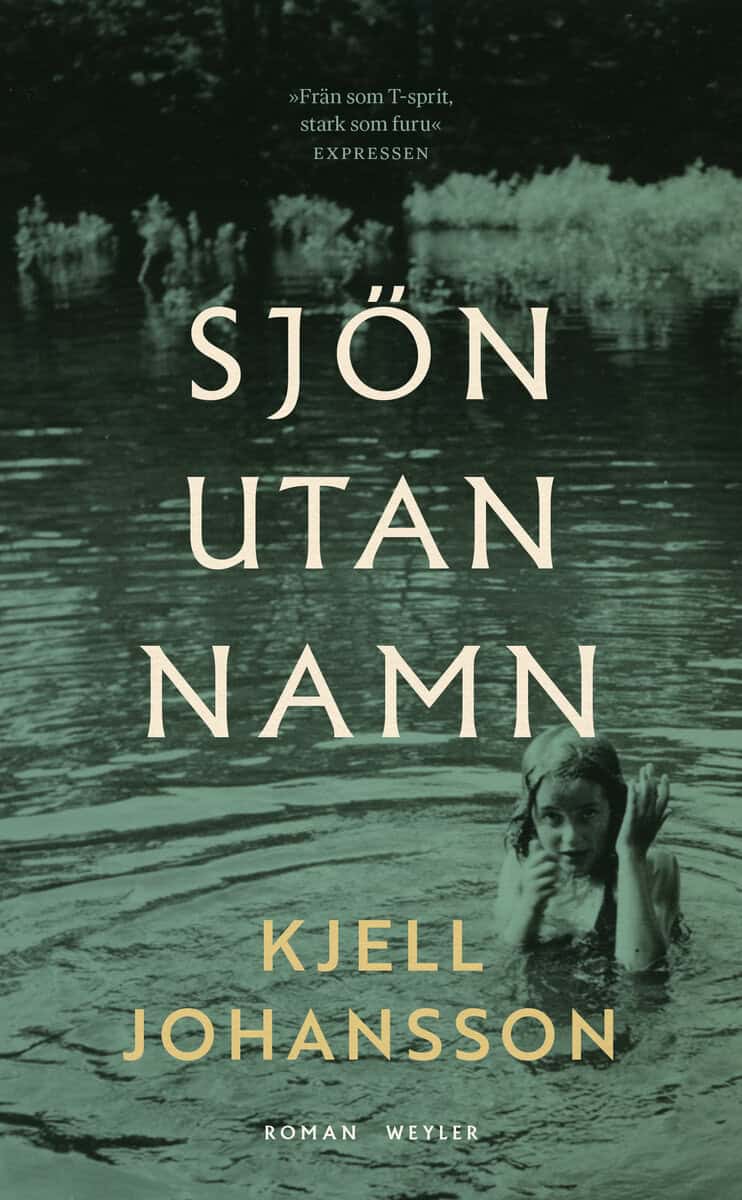 Kjell Johansson : Sjön utan namn : De utsatta