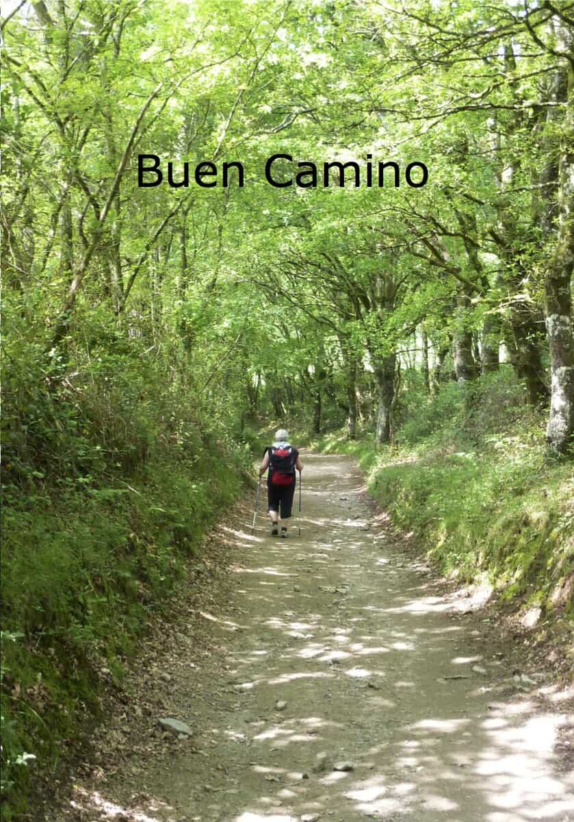 Kjell Strömner : Buen Camino