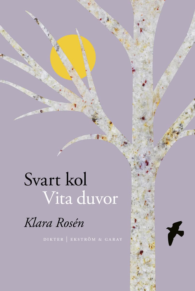 Klara Rosén : Svart kol vita duvor