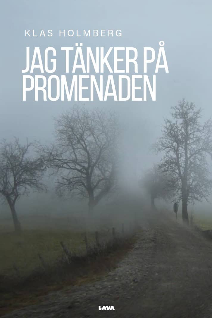 Klas Holmberg : Jag tänker på promenaden