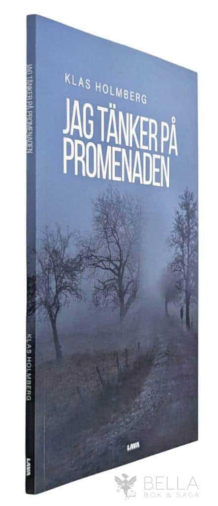 Klas Holmberg : Jag tänker på promenaden
