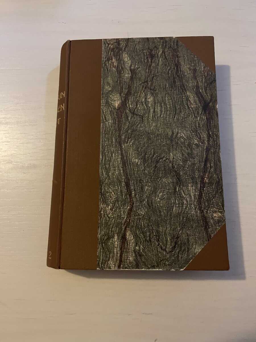 Knut Hamsun : Munken Vendt