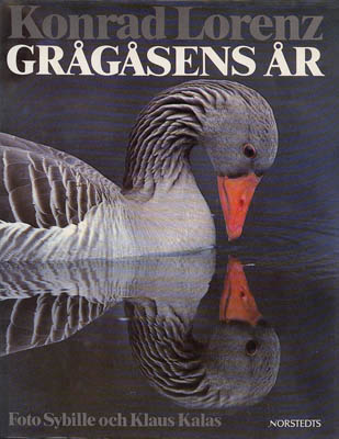 Konrad Lorenz : Grågåsens år