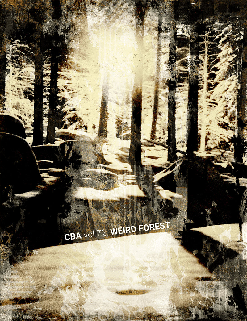 Kontny, Tomasz ; Tomxyz ; Elftorp, Mattias ; Crye, Michael Elton ; Aarniosuo, Athanasia ; Larsson, Knut ; Johansson, Susanne ; Sörblom, Svalan ; Santos, Xico : CBA vol 72: Weird forest