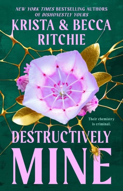 Krista Ritchie : Destructively Mine