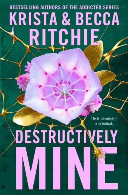 Krista Ritchie : Destructively Mine