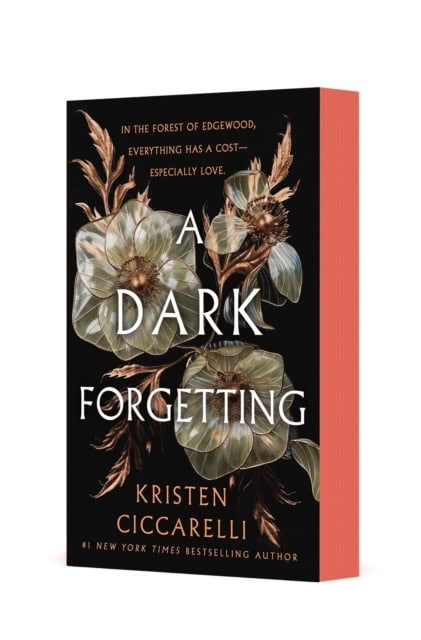 Kristen Ciccarelli : A Dark Forgetting