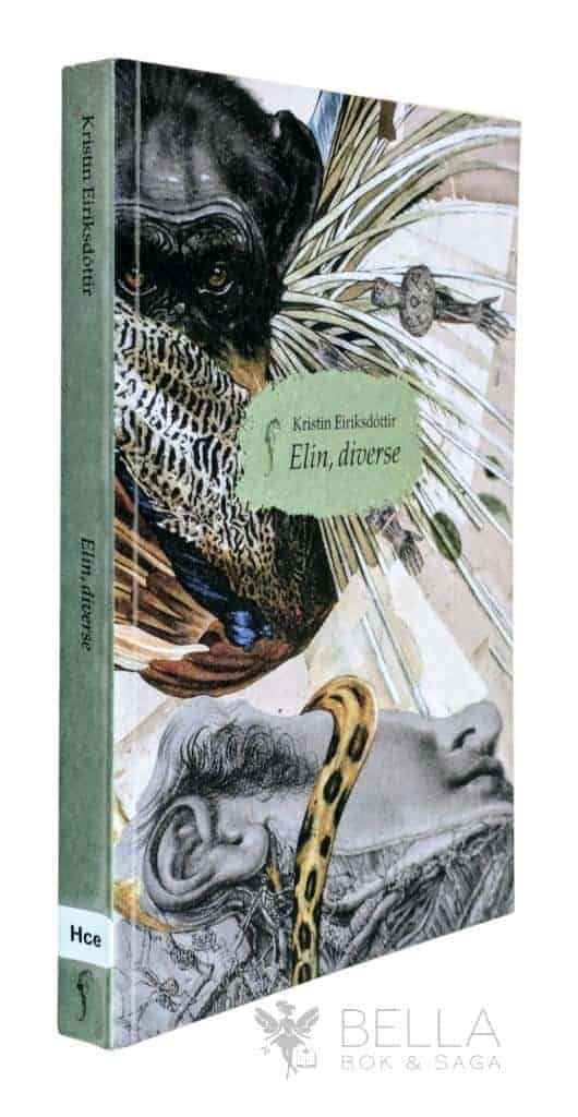 Kristín Eiríksdóttir : Elin, diverse