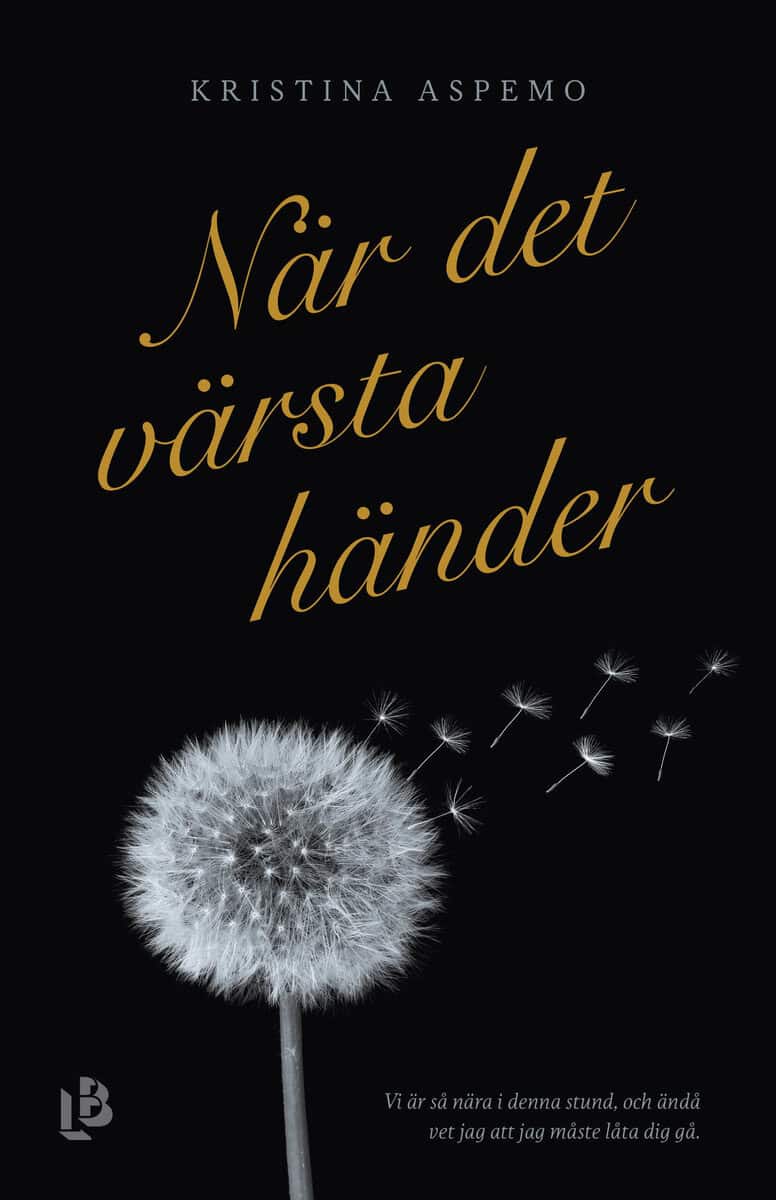 Kristina Aspemo : När det värsta händer : ett år av djupaste sorg, kärlek och förundran