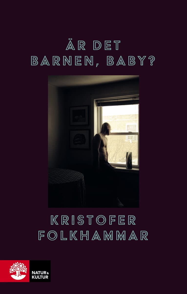 Kristofer Folkhammar : Är det barnen, baby?