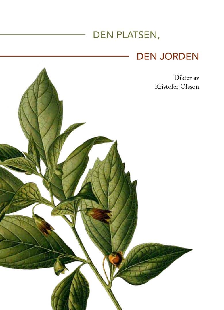 Kristofer Olsson : Den platsen, den jorden