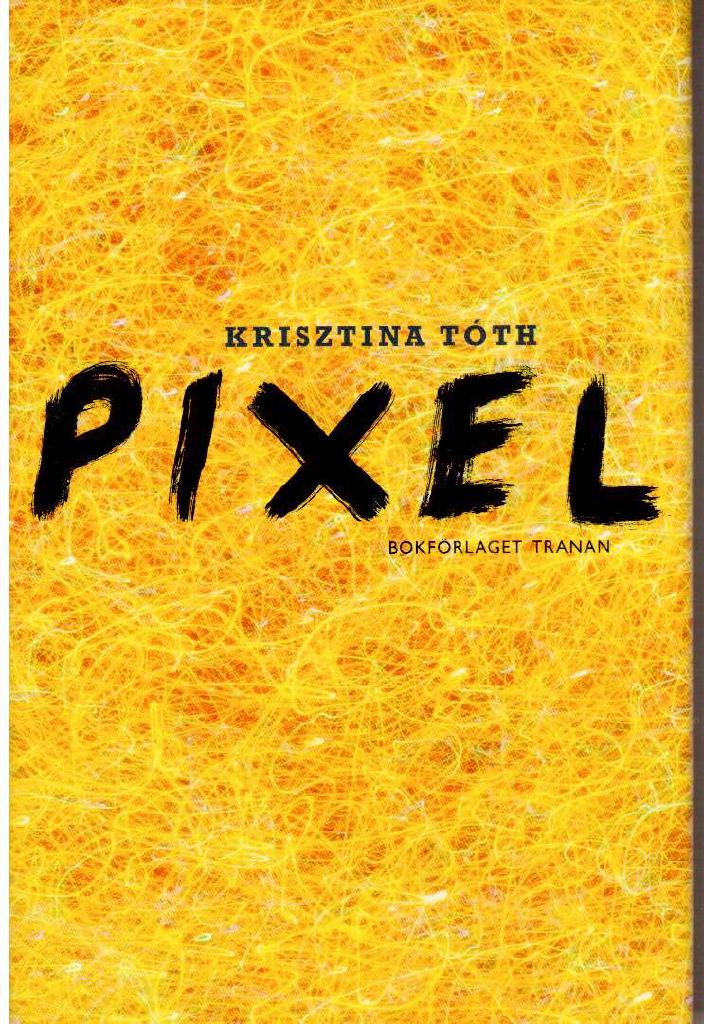 Krisztina Tóth : Pixel