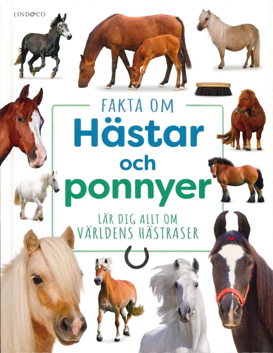Kritika Gupta : Fakta om hästar och ponnyer : Lär dig allt om världens hästraser