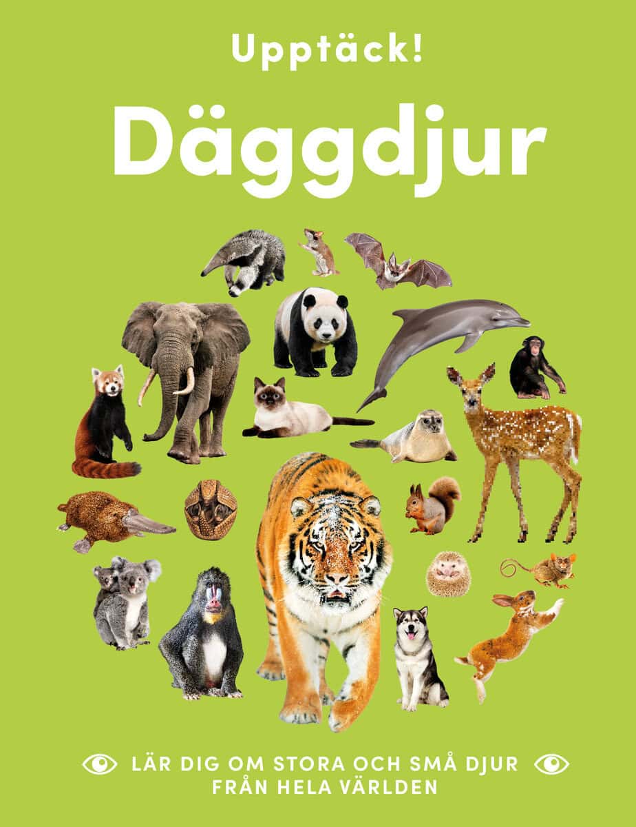 Kritika Gupta : Upptäck däggdjur