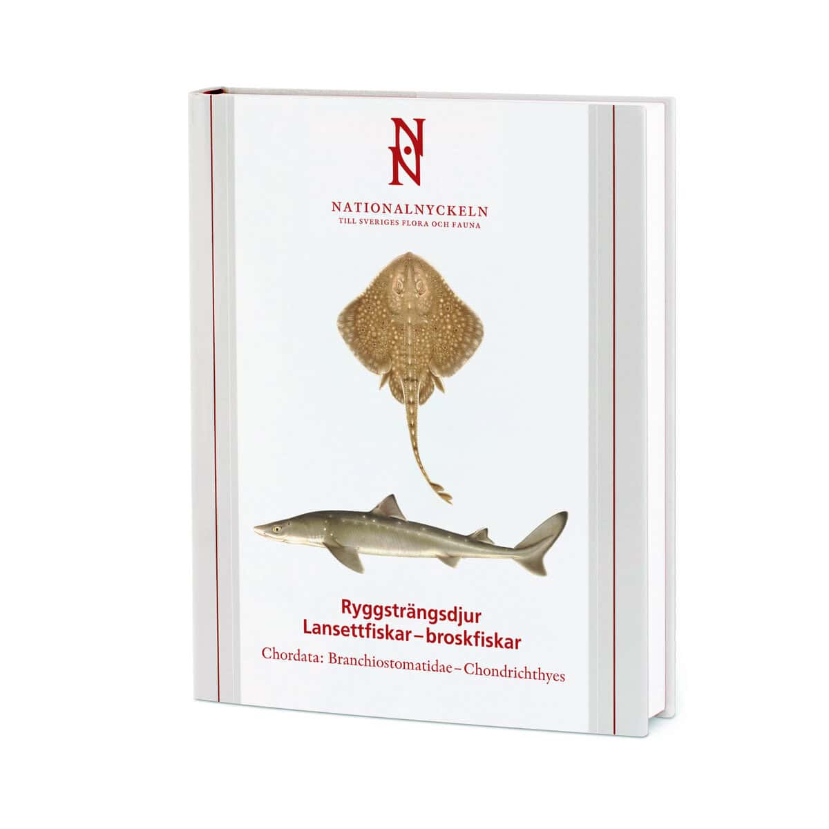 Kullander, Sven O. ; Stach, Thomas ; Hansson, Hans G. ; Delling, Bo ; Blom, Henning : Ryggsträngsdjur : lansettfiskar - broskfiskar. Chordata : branchiostomatidae - chondrichthyes