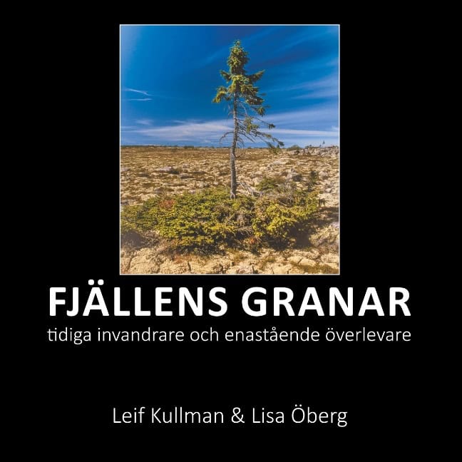 Kullman, Leif ; Öberg, Lisa : Fjällens granar