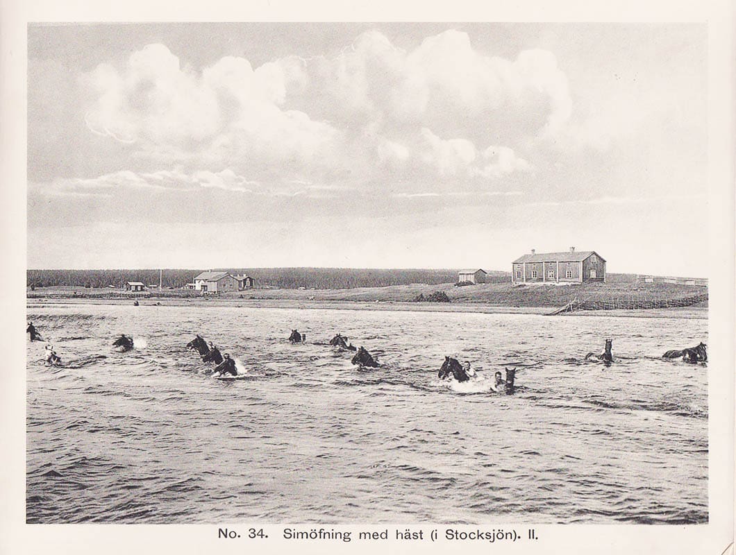 Kungl. Norrlands Dragon Regemente i ord och bild [=pärmtitel]