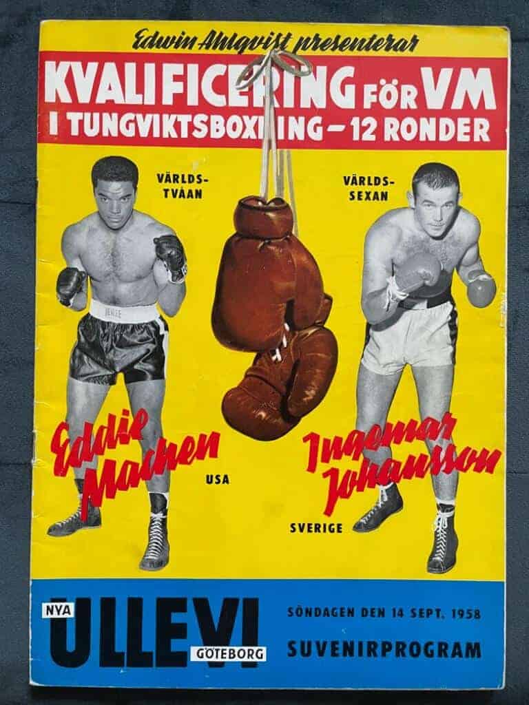 Kvalificering för VM-match i tungviktsboxning