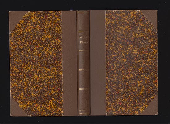 L. M. Larsson : Flora öfver Wermland och Dal