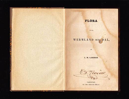 L. M. Larsson : Flora öfver Wermland och Dal