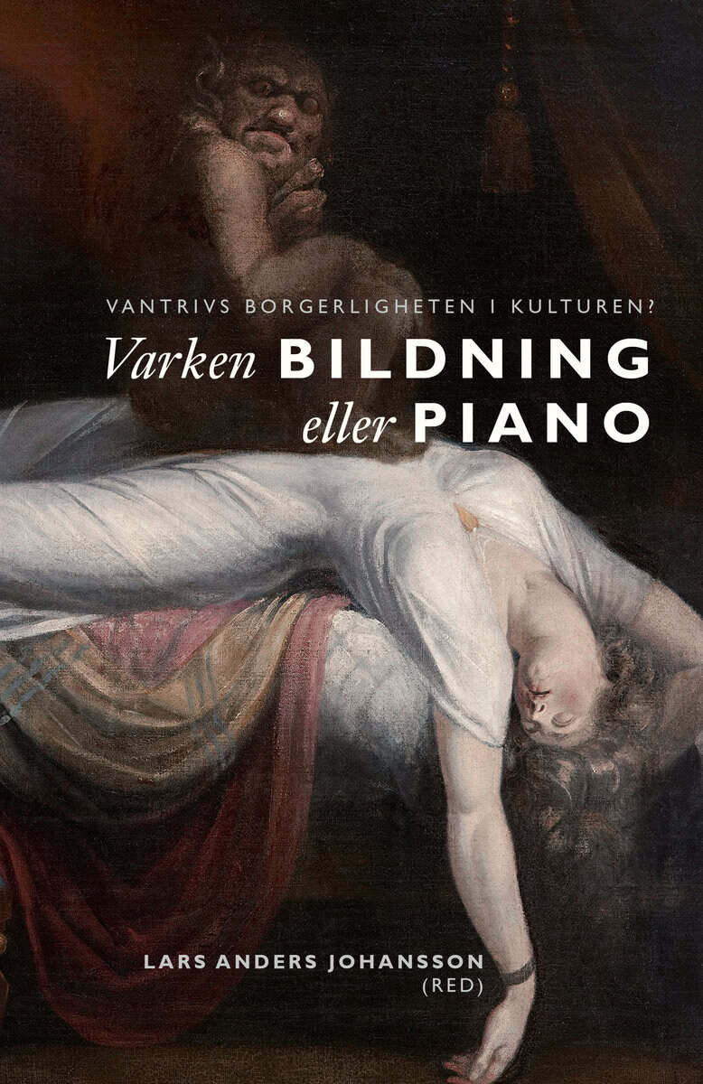 Lars Anders Johansson : Varken bildning eller piano