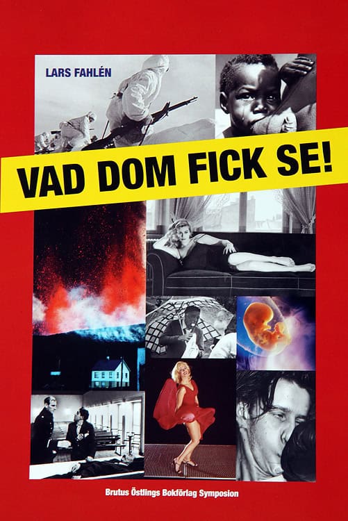 Lars Fahlén : Vad dom fick se!