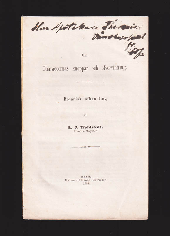 Lars Johan Wahlstedt : Om Characeernas knoppar och öfvervintring. Botanisk afhandling
