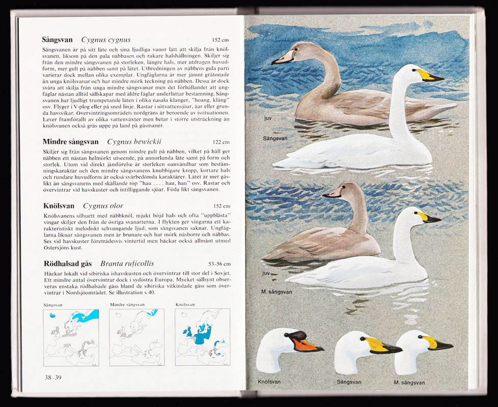 Lars Jonsson : Fåglar i naturen. Del 2. Hav och kust