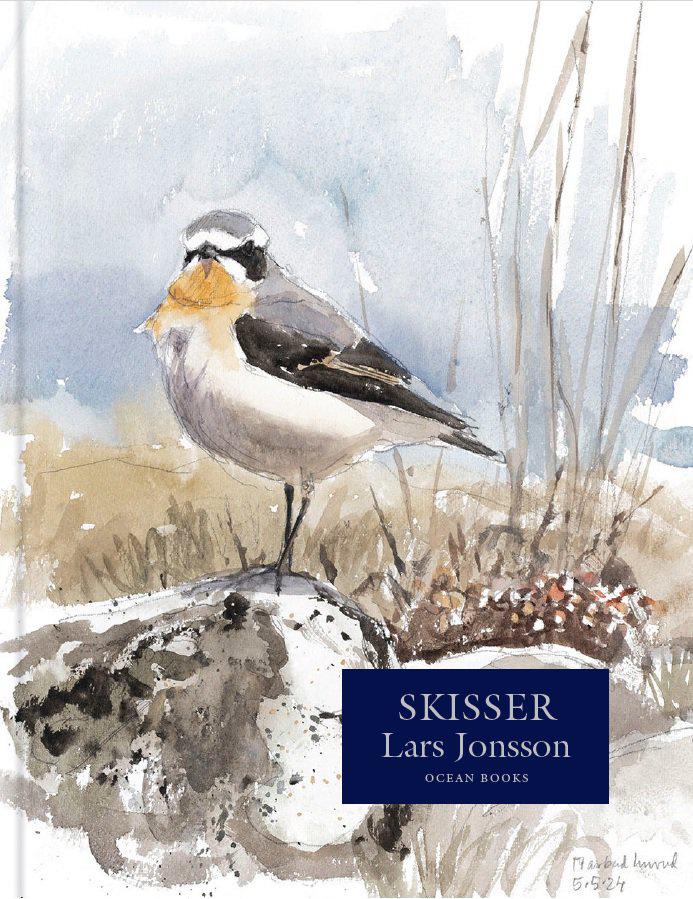 Lars Jonsson : Skisser