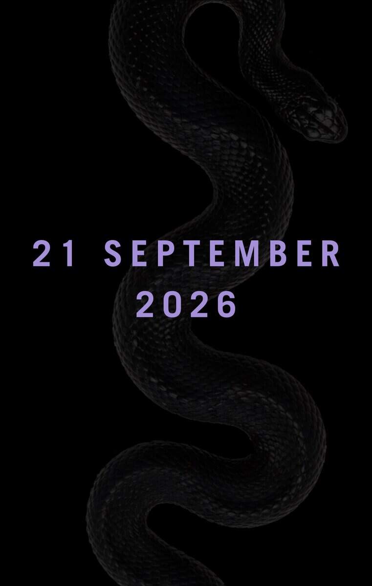 Kepler, Lars | MEDUSA