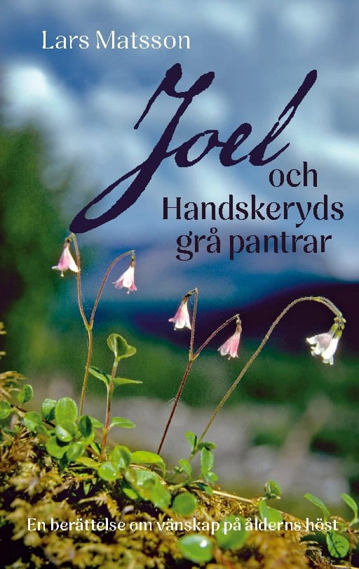 Lars Matsson : Joel och Handskeryds grå pantrar
