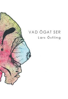 Lars Östling : Vad ögat ser