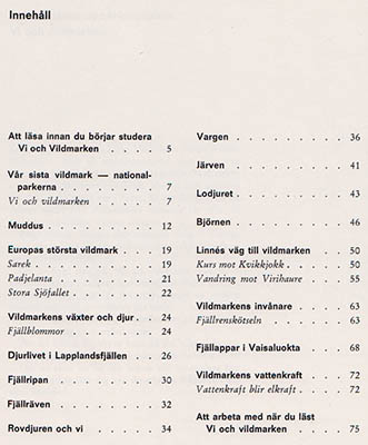 Lars Rask : Vi och vildmarken