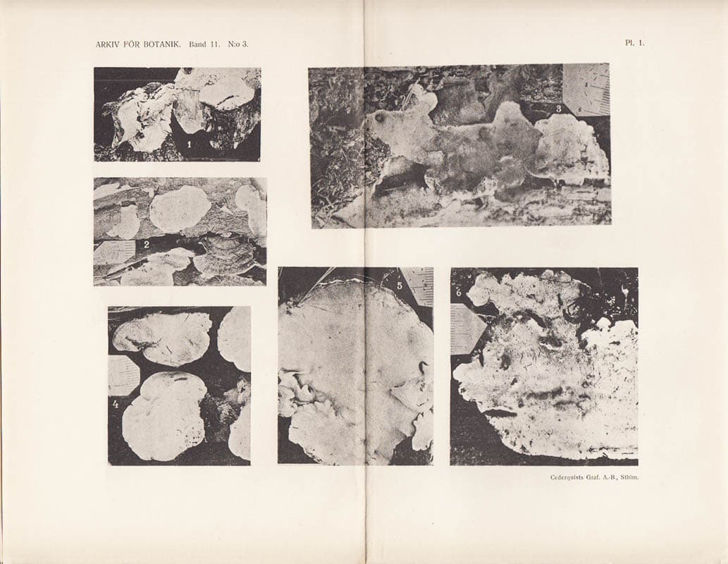 Lars Romell : Hymenomycetes of Lappland. With two plates