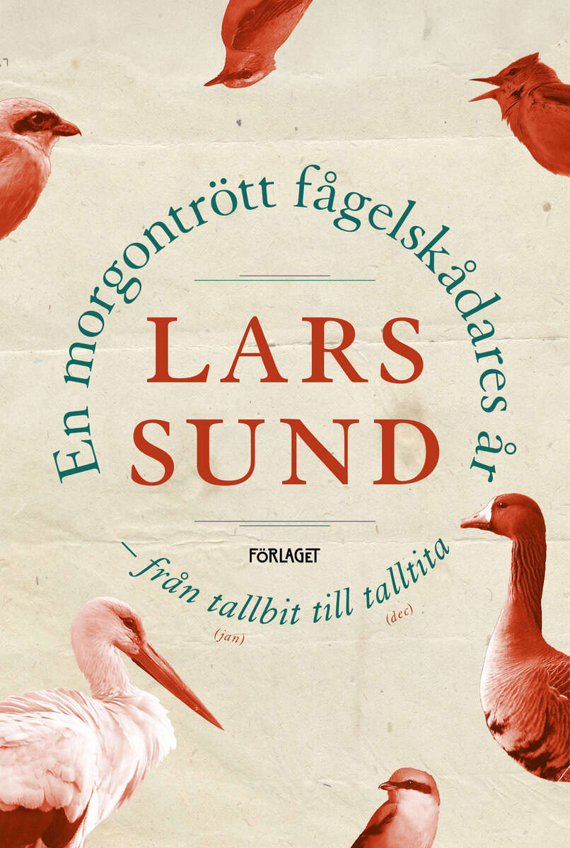 Lars Sund : En morgontrött fågelskådares år