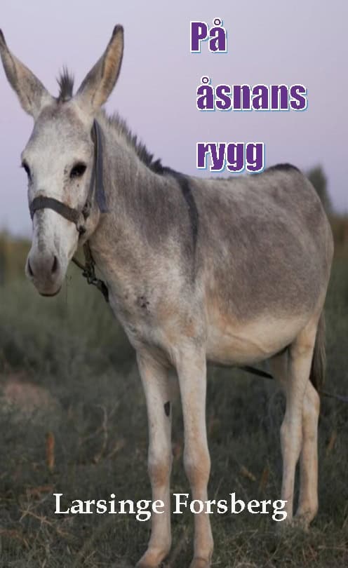 Larsinge Forsberg : På åsnans rygg
