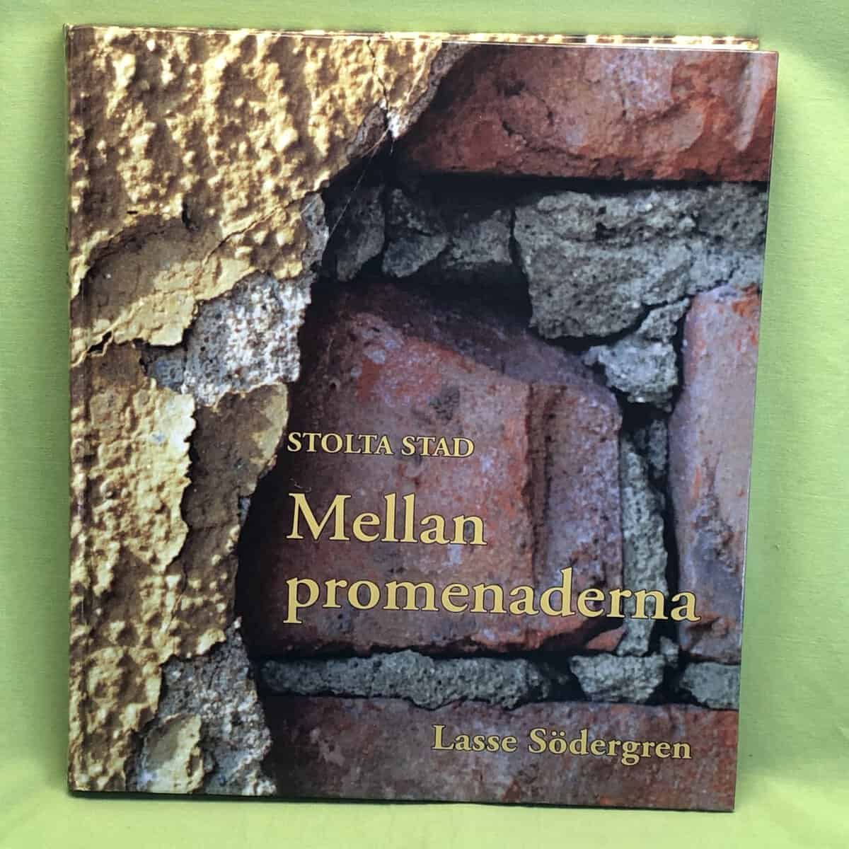 Lasse Södergren : Mellan promenaderna