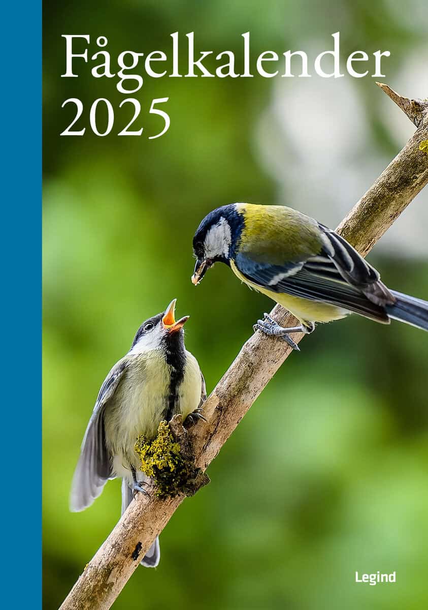 Legind : Fågelkalender 2025