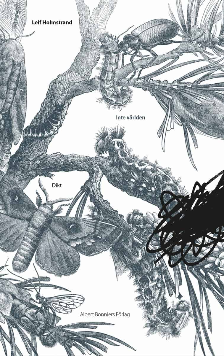Leif Holmstrand : Inte världen