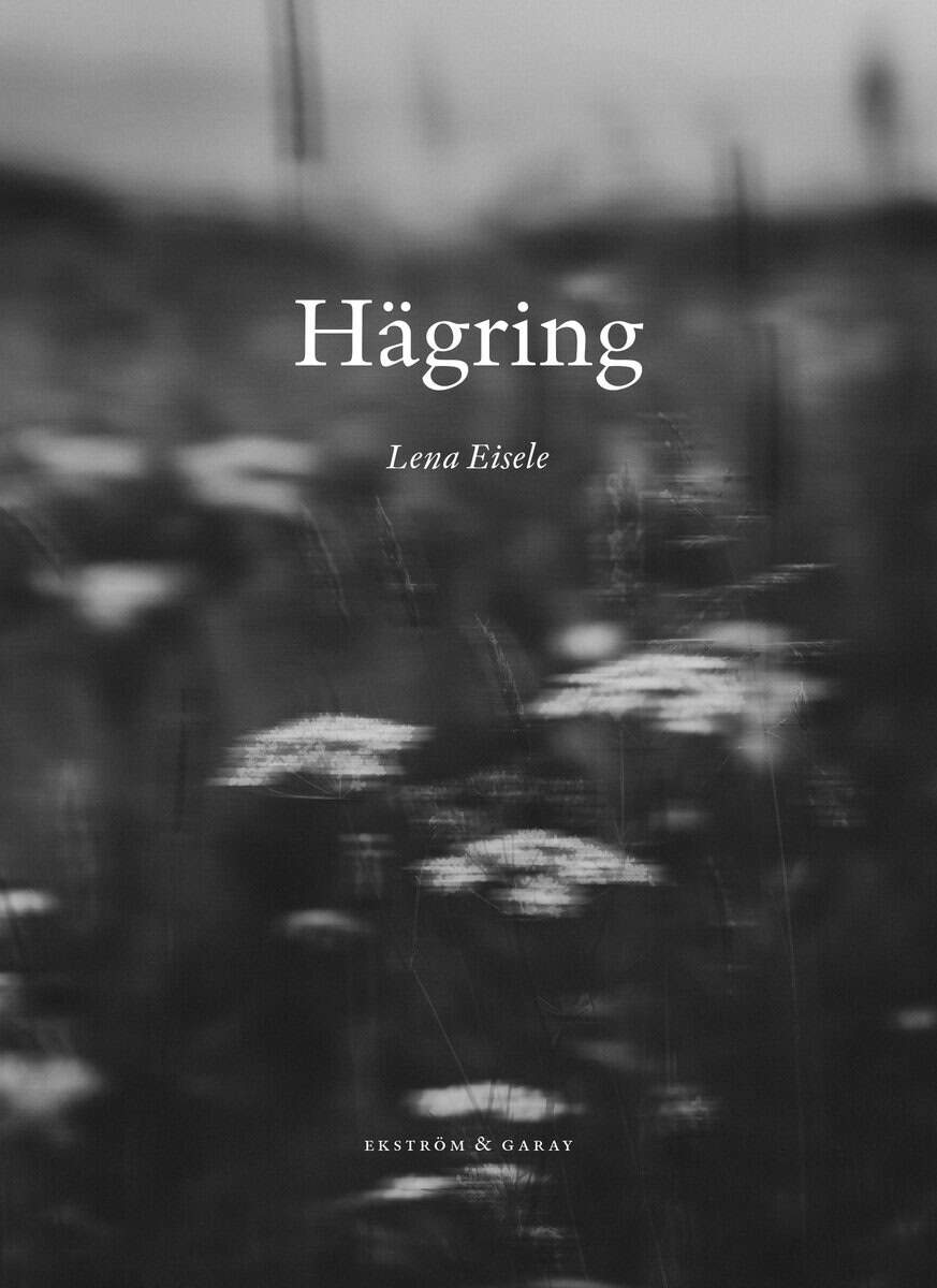Lena Eisele : Hägring