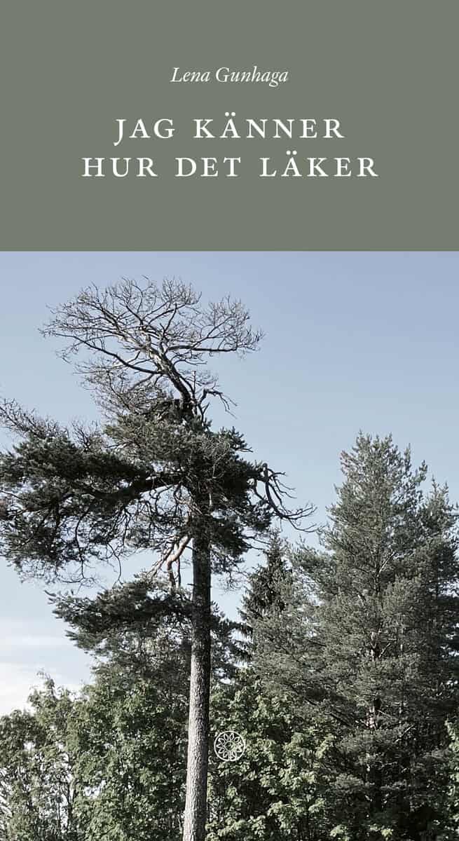 Lena Gunhaga : Jag känner hur det läker